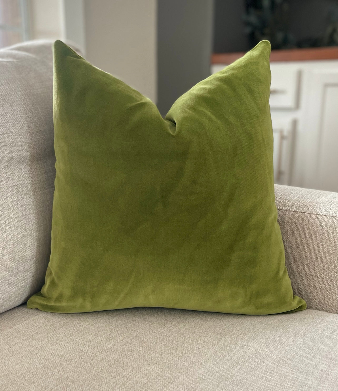 Green velvet Pillow